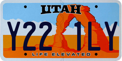 UT license plate Y221LY