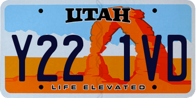 UT license plate Y221VD