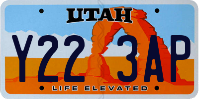 UT license plate Y223AP