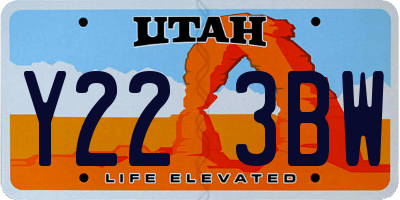 UT license plate Y223BW