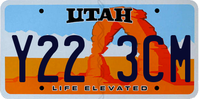 UT license plate Y223CM