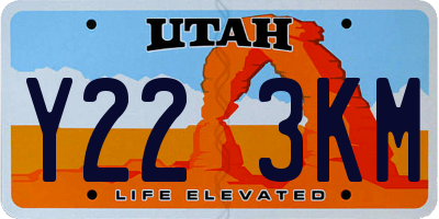 UT license plate Y223KM