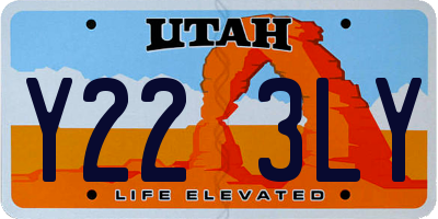 UT license plate Y223LY