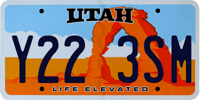 UT license plate Y223SM