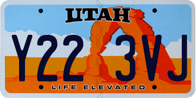 UT license plate Y223VJ