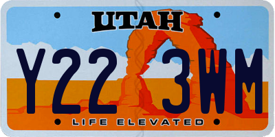 UT license plate Y223WM