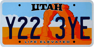 UT license plate Y223YE