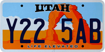 UT license plate Y225AB