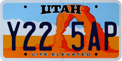 UT license plate Y225AP