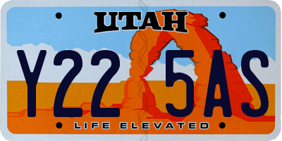 UT license plate Y225AS