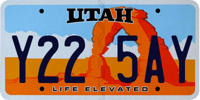 UT license plate Y225AY