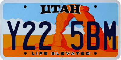 UT license plate Y225BM