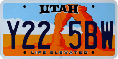 UT license plate Y225BW