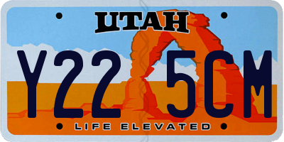 UT license plate Y225CM