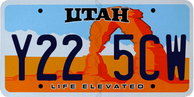 UT license plate Y225CW