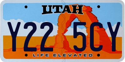 UT license plate Y225CY