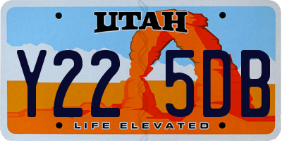 UT license plate Y225DB
