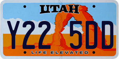 UT license plate Y225DD