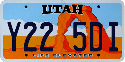 UT license plate Y225DI