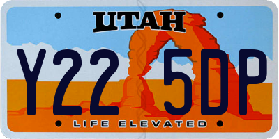 UT license plate Y225DP