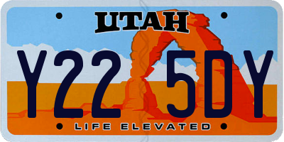 UT license plate Y225DY