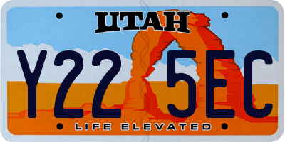 UT license plate Y225EC