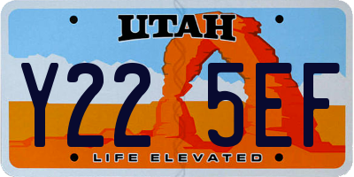 UT license plate Y225EF
