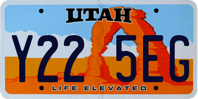 UT license plate Y225EG