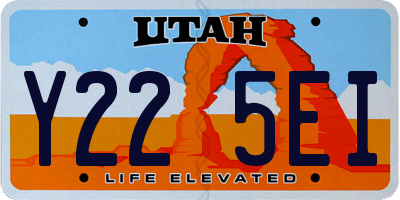 UT license plate Y225EI