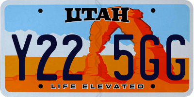 UT license plate Y225GG