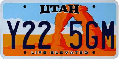 UT license plate Y225GM