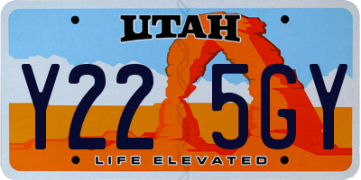 UT license plate Y225GY