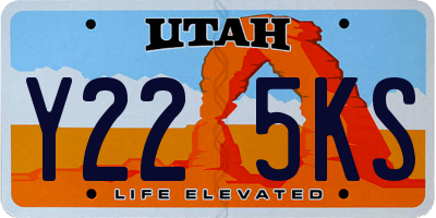 UT license plate Y225KS