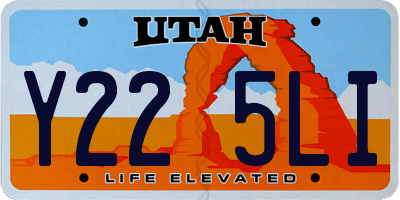 UT license plate Y225LI
