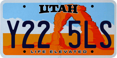 UT license plate Y225LS