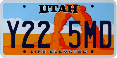 UT license plate Y225MD