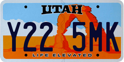 UT license plate Y225MK