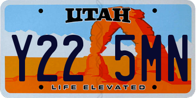 UT license plate Y225MN