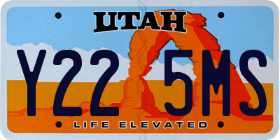 UT license plate Y225MS