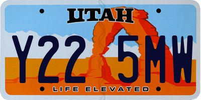 UT license plate Y225MW