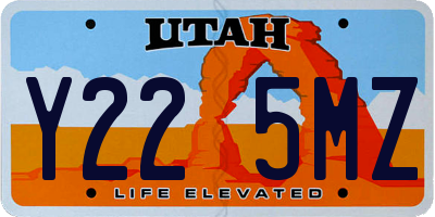 UT license plate Y225MZ
