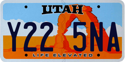UT license plate Y225NA