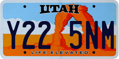 UT license plate Y225NM