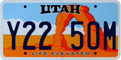 UT license plate Y225OM