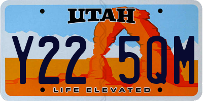 UT license plate Y225QM