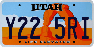 UT license plate Y225RI