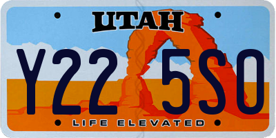 UT license plate Y225SO