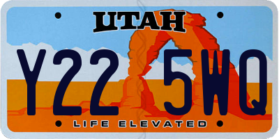 UT license plate Y225WQ