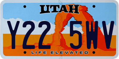 UT license plate Y225WV