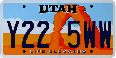UT license plate Y225WW